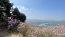 banner 133*73